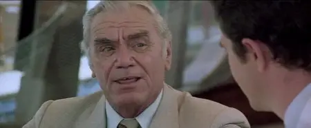 Code Name: Wild Geese (1984)
