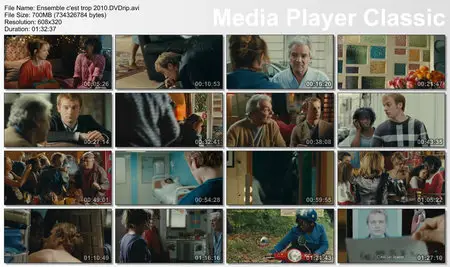 (Comedie) Ensemble c'est trop [DVDrip] 2010