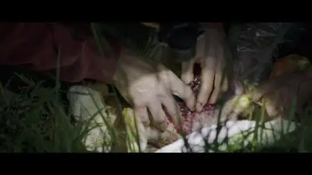The Biggest Little Farm (2018)