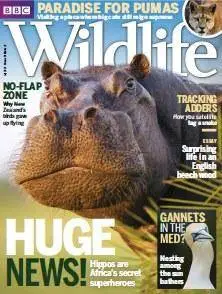 BBC Wildlife Magazine - July 2016