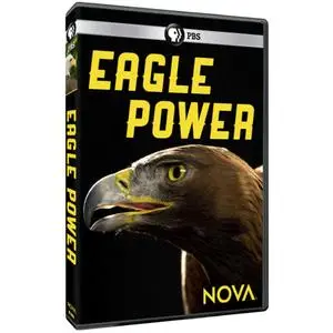 PBS - NOVA: Eagle Power (2020)