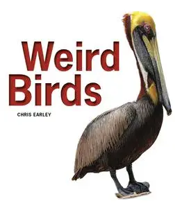 «Weird Birds» by Chris Earley