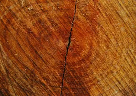 ImageDJ DI 023 Wood Grains