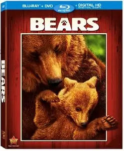 Bears (2014)
