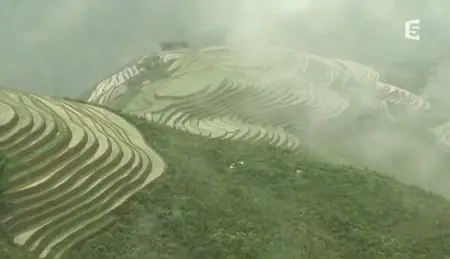 (Fr5) Au pays des rizières suspendues (2011)