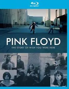 Pink Floyd: The Story of Wish You Were Here (2012)