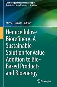 Hemicellulose Biorefinery: A Sustainable Solution for Value Addition to Bio-Based Products and Bioenergy