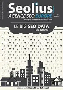 Seolius Europe - Le Big SEO Data didactique