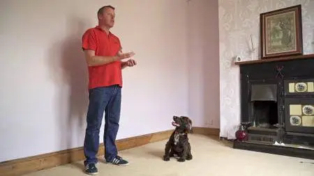 Dog Training for Humans - Clicker Free Trick Training
