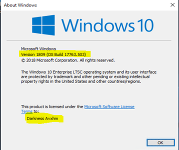 Microsoft Windows 10 Enterprise LTSC 2019 v1809 (OS Build 17763.503) May 2019