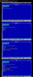 Practical C Programming