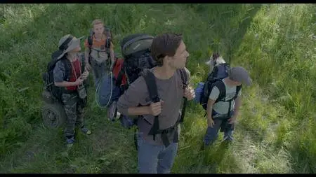 The Stray (2017)