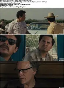 Cesar Chavez (2014)