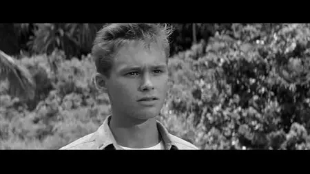 In Harm's Way (1965)