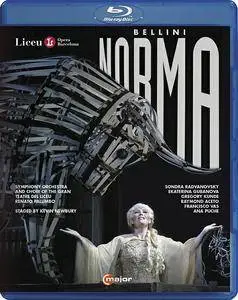 Renato Palumbo, Symphony Orchestra and Choir of the Gran Teatre del Liceu - Bellini: Norma (2016) [Blu-Ray]