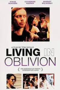 Living in Oblivion (1995)