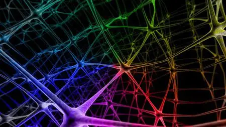 Beginners Guide To Deep Learning