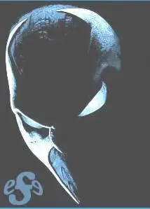 More brushes for Photoshop