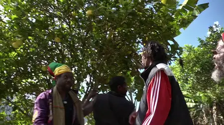 Reincarnated (2012)