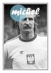  michel – november 2013