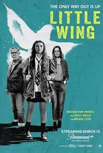 Little Wing (2024)