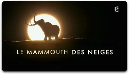 (Fr5) Le Mammouth Des Neiges (2013)