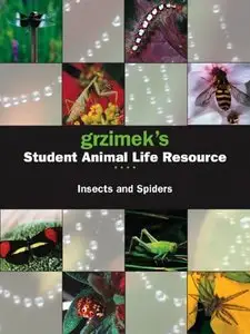 Insects and Spiders (Repost)
