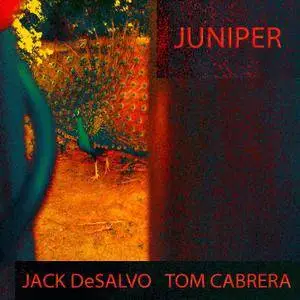 Jack DeSalvo & Tom Cabrera - Juniper (2014/2018) [Official Digital Download 24/88]