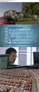 The Flaw (2011)