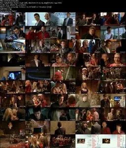 Julefrokosten / The Christmas Party (2009)