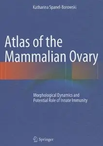 Atlas of the Mammalian Ovary: Morphological Dynamics and Potential Role of Innate Immunity (Repost)