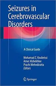 Seizures in Cerebrovascular Disorders: A Clinical Guide