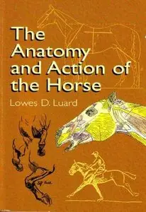 The Anatomy and Action of the Horse (Dover Anatomy for Artists)