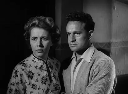 The Divided Heart (1954)