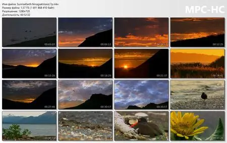 Sunrise Earth: Seaside Collection. Ninagiak Island (2007)