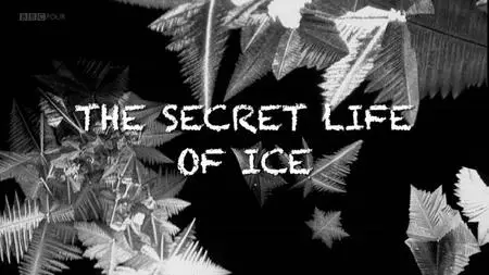 BBC - The Secret Life of Ice (2011)