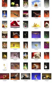 Animals  