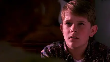 The Man without a Face (1993)