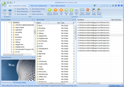 BatchRename Pro 4.5.1.1 (x64) Portable