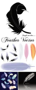 Feather Vector
