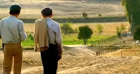 Ahmet Uluçay-Karpuz kabuğundan gemiler yapmak ('Boats Out of Watermelon Rinds') (2004)