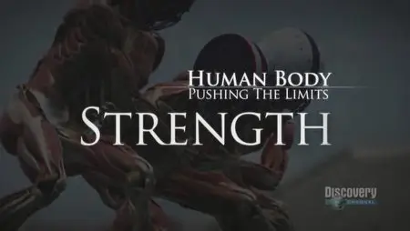 Discovery Channel - Human Body - Pushing the Limits (Complete Series) - 4 Episodes