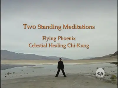Chi Kung For Health, Volume Three: Two Intermediate Exercises [repost]