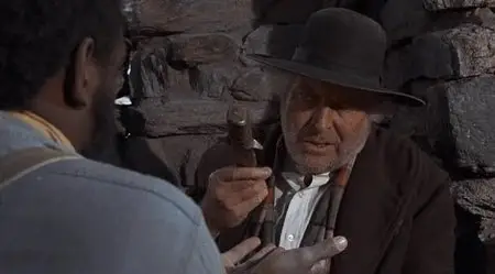 Man and Boy (1971)