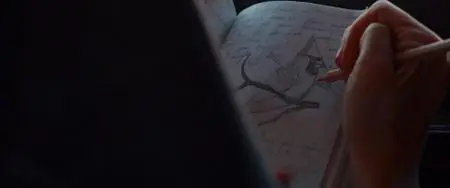 The Dawn (2019)