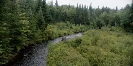 Barkskins S01E05