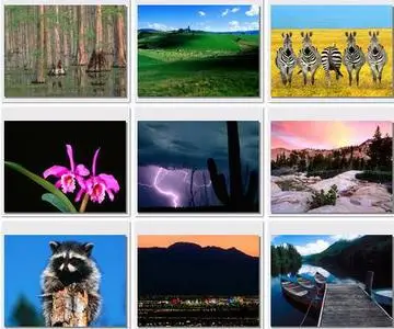 WebShots Collection. Part 5