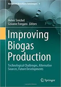 Improving Biogas Production: Technological Challenges, Alternative Sources, Future Developments