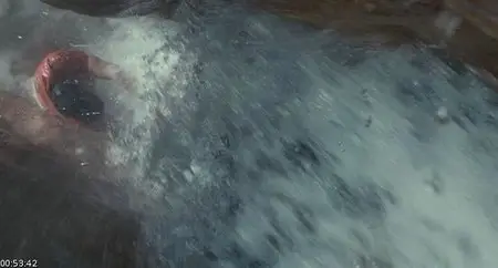 127 Hours (2010)