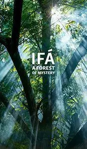 Ifá: A Forest of Mystery